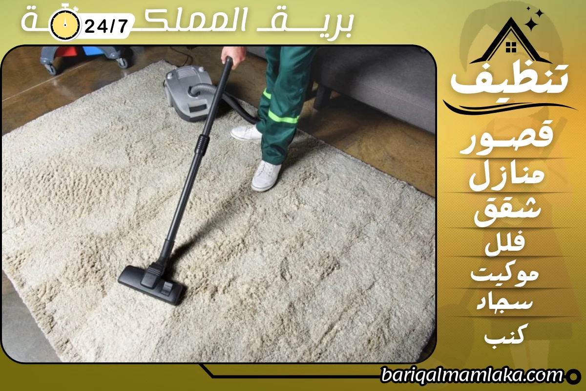 شركة تنظيف ببلجرشي