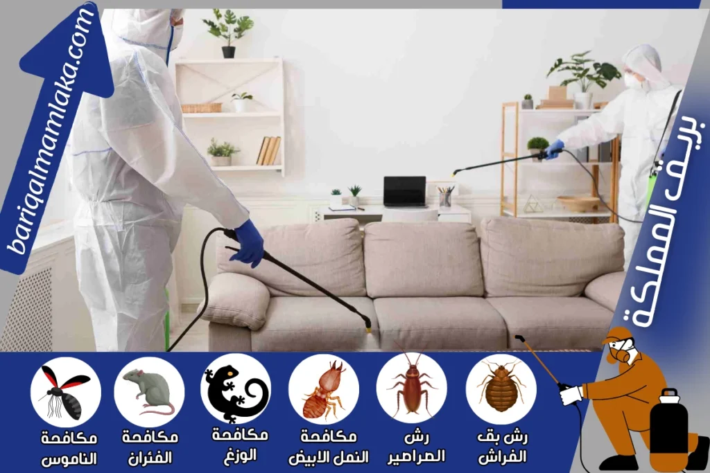 شركة مكافحة حشرات ورش مبيدات بجدة