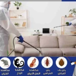 شركة مكافحة حشرات ورش مبيدات بجدة