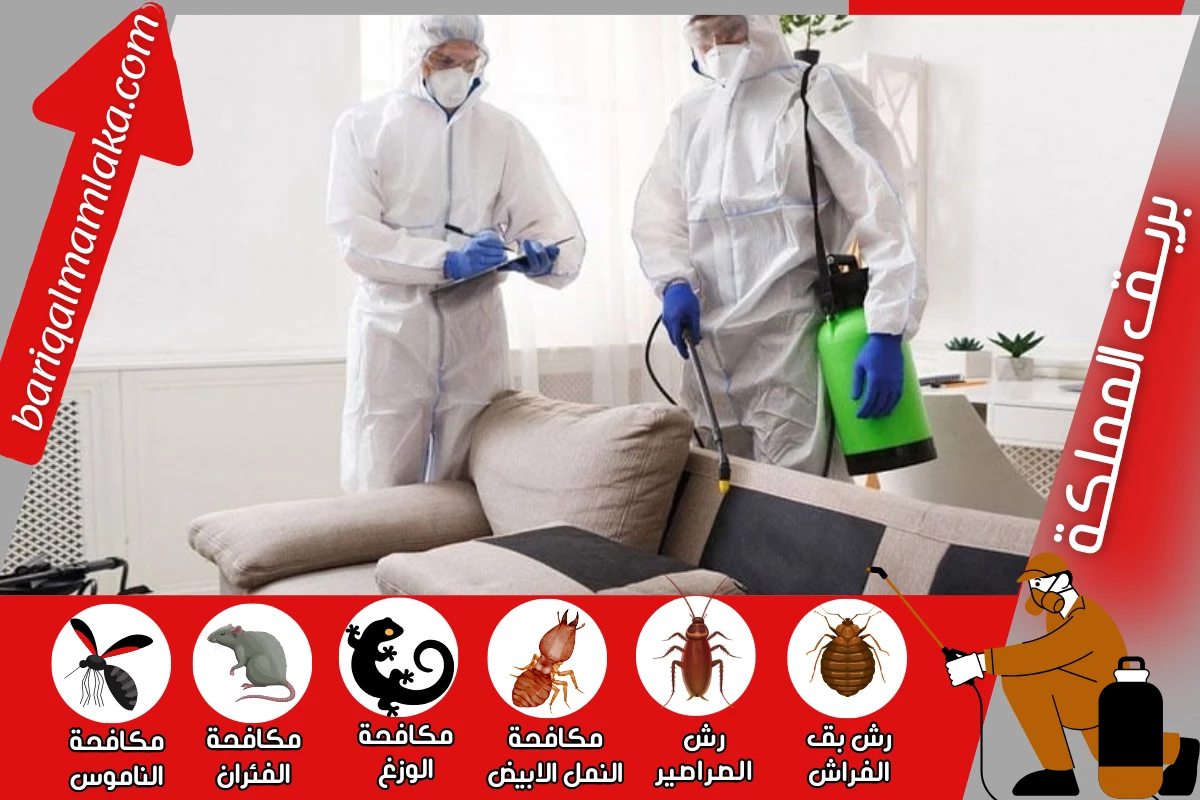 شركة مكافحة حشرات ورش مبيدات بحفر الباطن