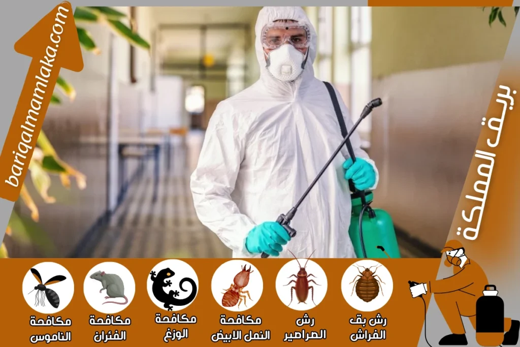 شركة مكافحة حشرات ورش مبيدات بحفر الباطن