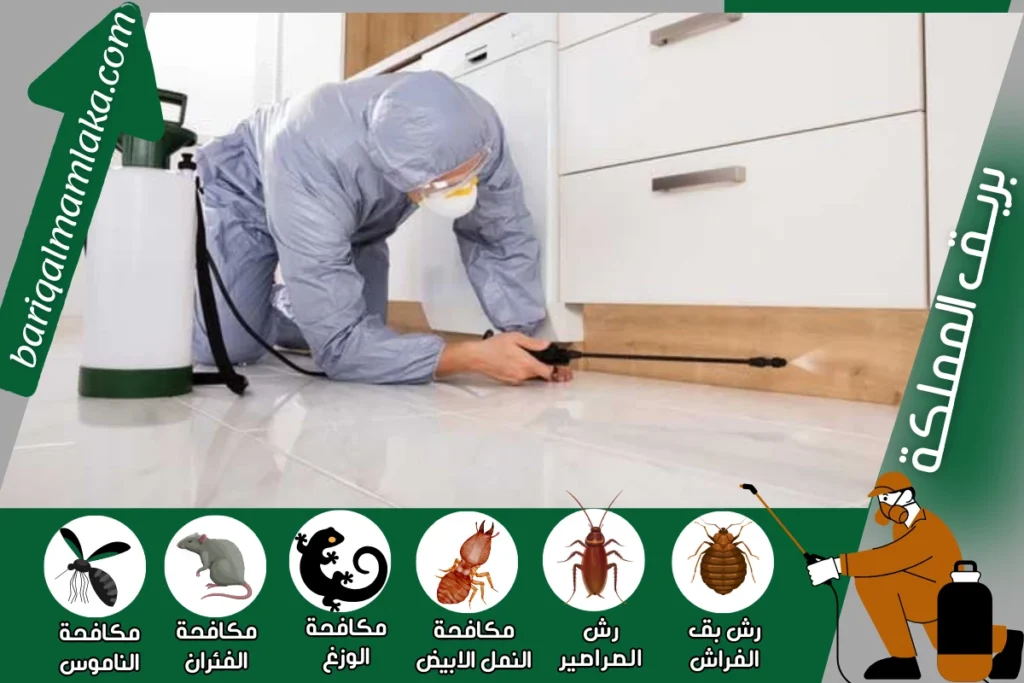 شركة مكافحة حشرات ورش مبيدات بخميس مشيط