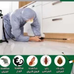 شركة مكافحة حشرات ورش مبيدات بخميس مشيط
