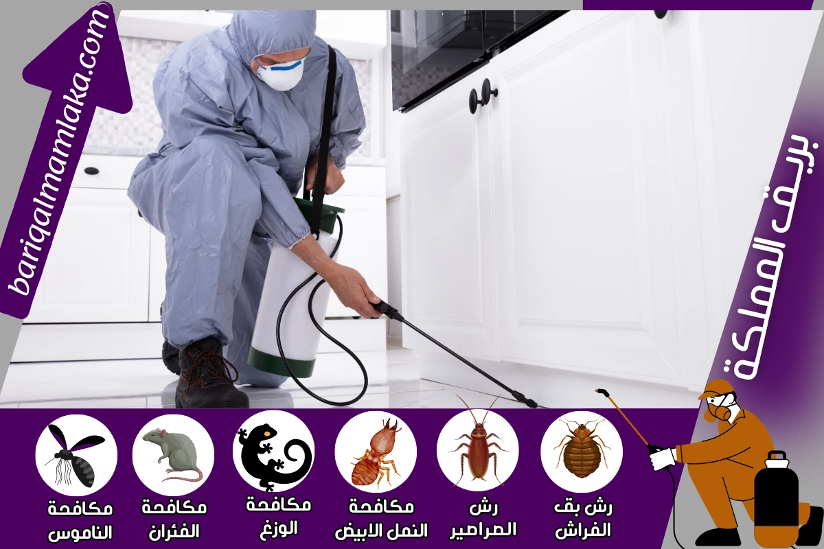 شركة مكافحة حشرات ورش مبيدات بخميس مشيط