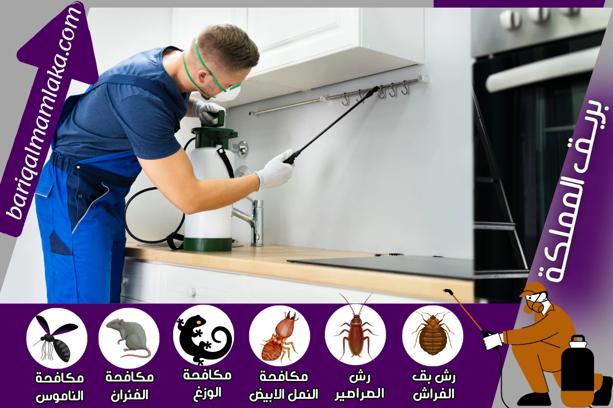 شركة مكافحة حشرات بمكة