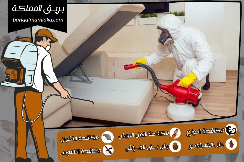 شركة مكافحة حشرات بمكة