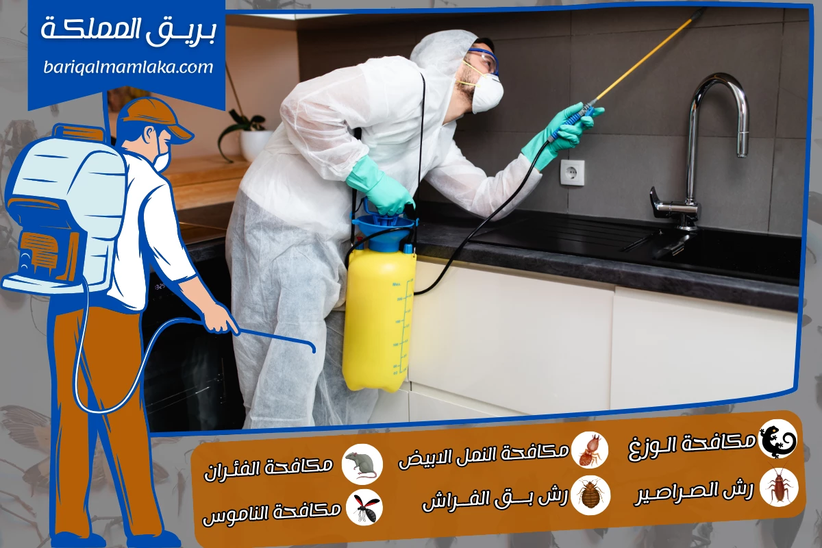 شركة مكافحة حشرات ورش مبيدات بخميس مشيط