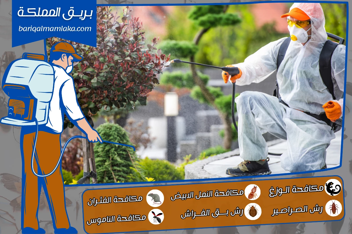 شركة مكافحة حشرات ورش مبيدات بخميس مشيط